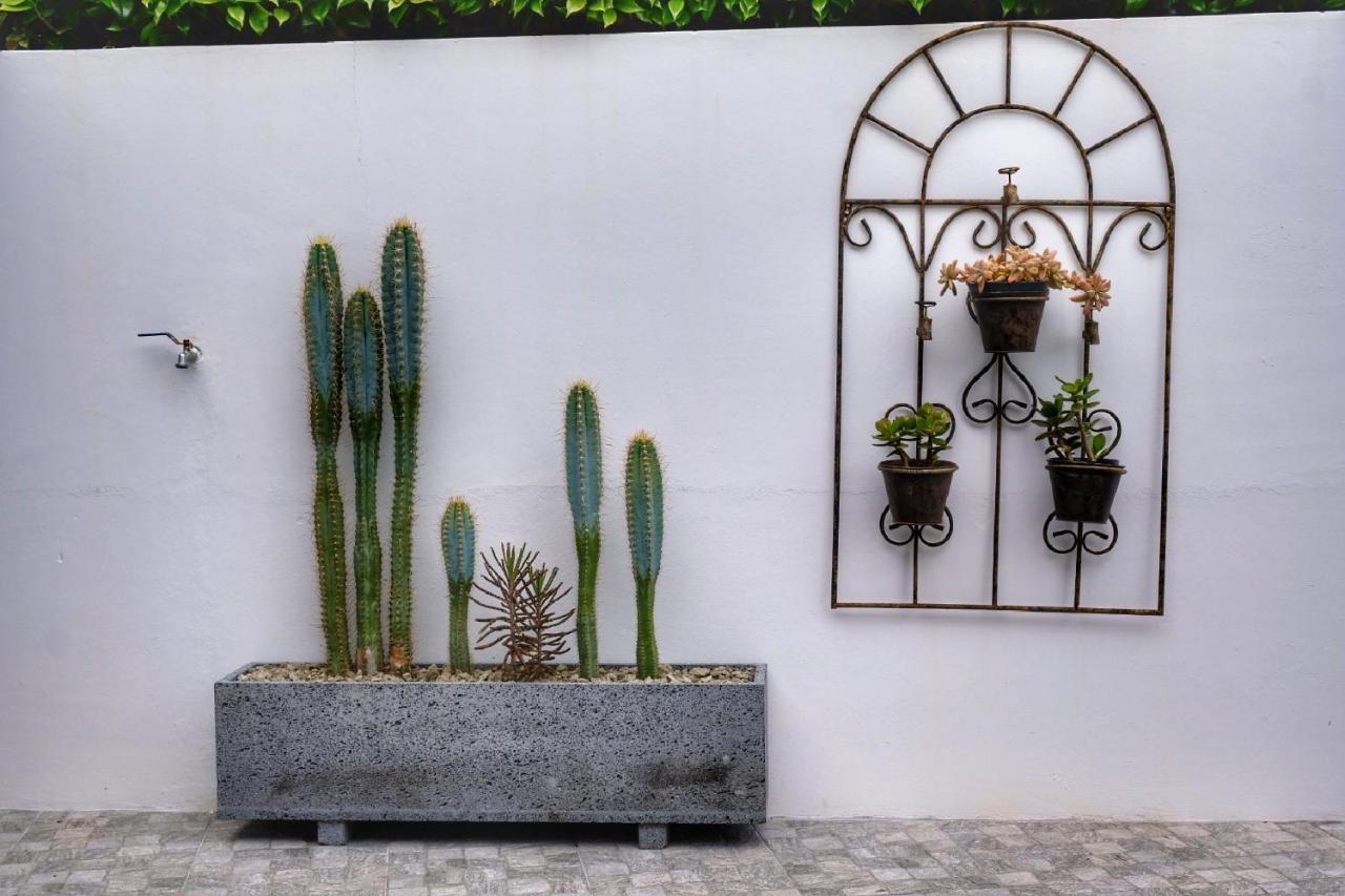 Casa Pacheco Apartment ฟูร์นัส ภายนอก รูปภาพ